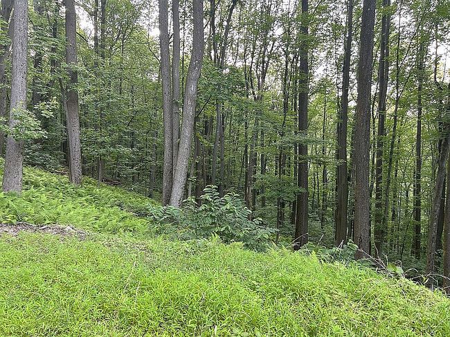 Photo of 1504 Summit Dr, Haymarket, VA
