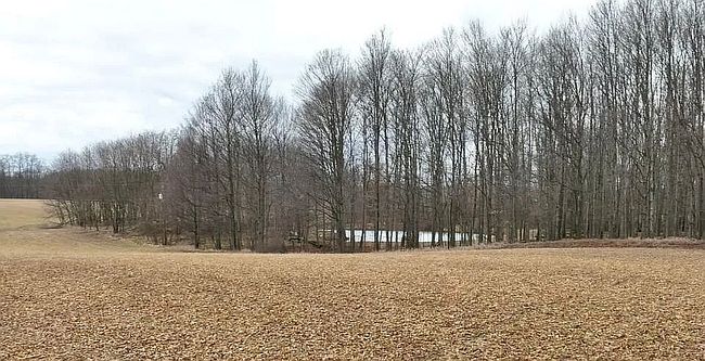 Photo of 4 & 5 Below Rd, Grass Lake, MI