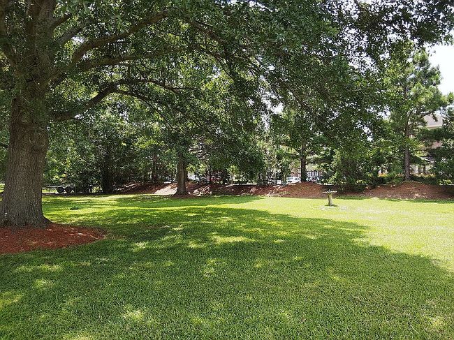 Photo of 4030 Charles Blvd, Greenville, NC