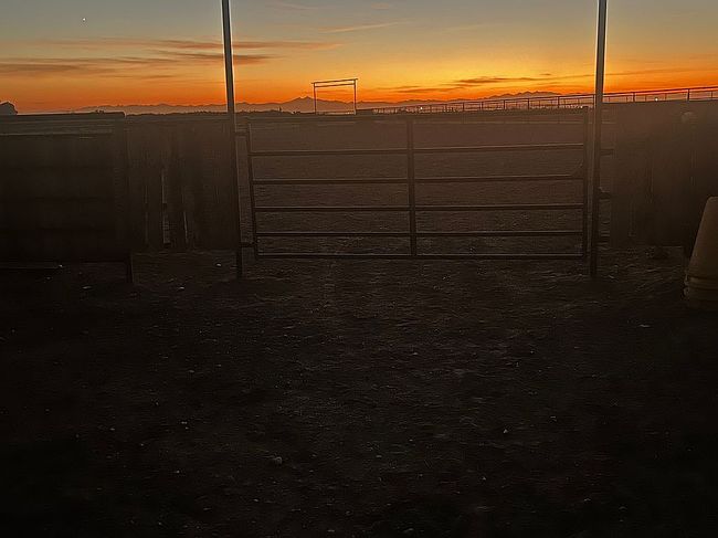 Image of 29752 County Road 53