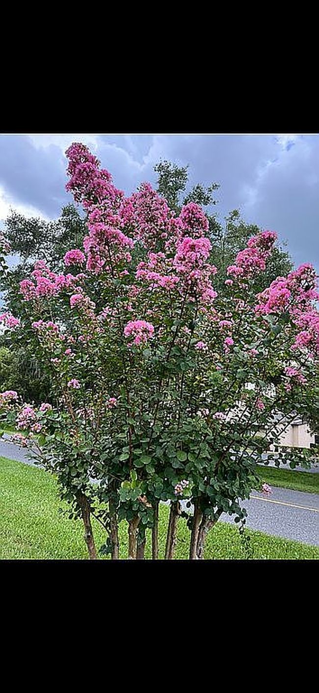 Photo of 695 Midway Dr #A, Ocala, FL