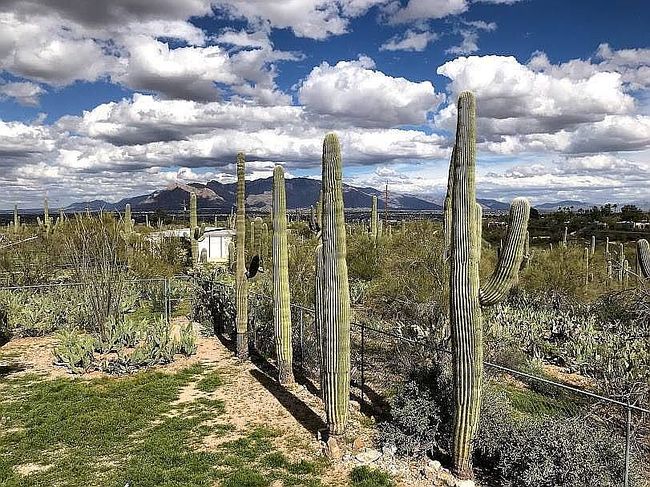 Photo of 4231 W Camino Nuestro, Tucson, AZ