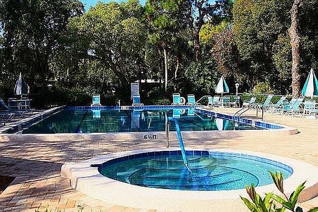 Image of 463 Palm Tree Dr