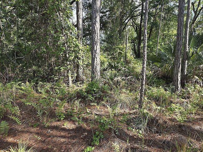 Image of 0 County Road 42 Lots 47-56