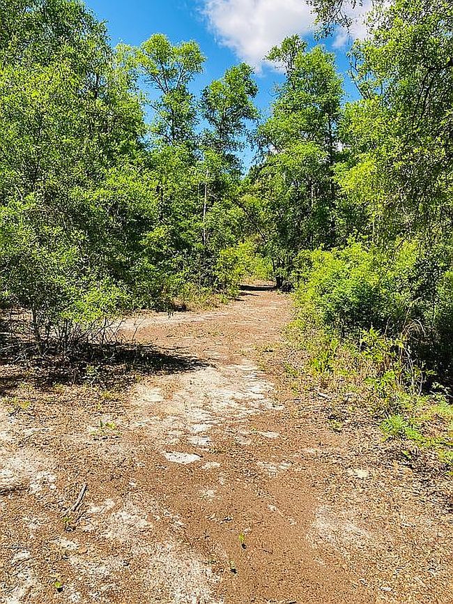 Photo of 234 Sw Salliewood Ct, Fort White, FL