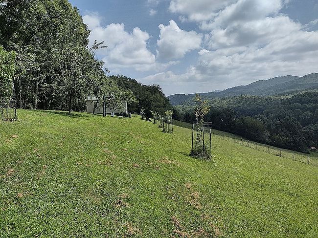 Photo of 1510 Matson Dr, Marion, VA