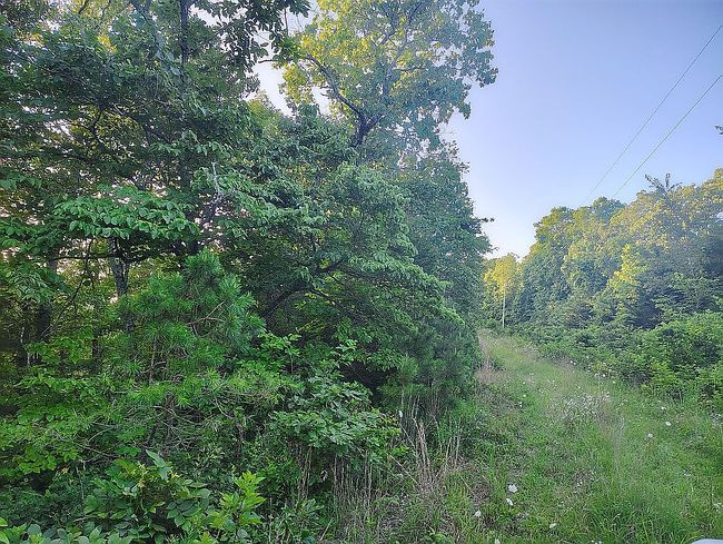 Photo of 1389 Peaceful Ln #4, Yellville, AR