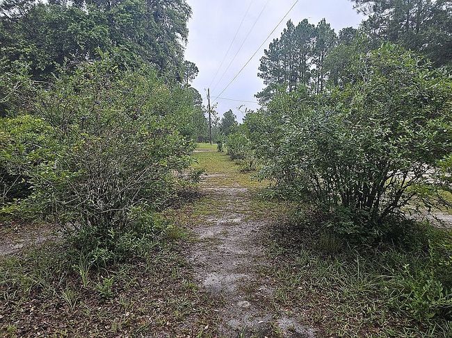 Photo of 5641 Fleetwood Ln, Blackshear, GA