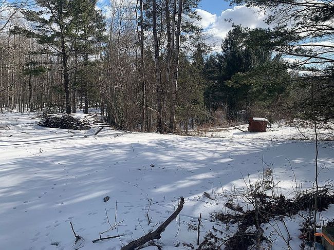 Photo of 2670 Bass Lake Rd, Lupton, MI