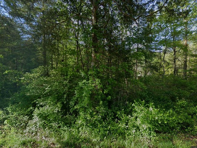 Image of 598 Rankin Chapel Rd
