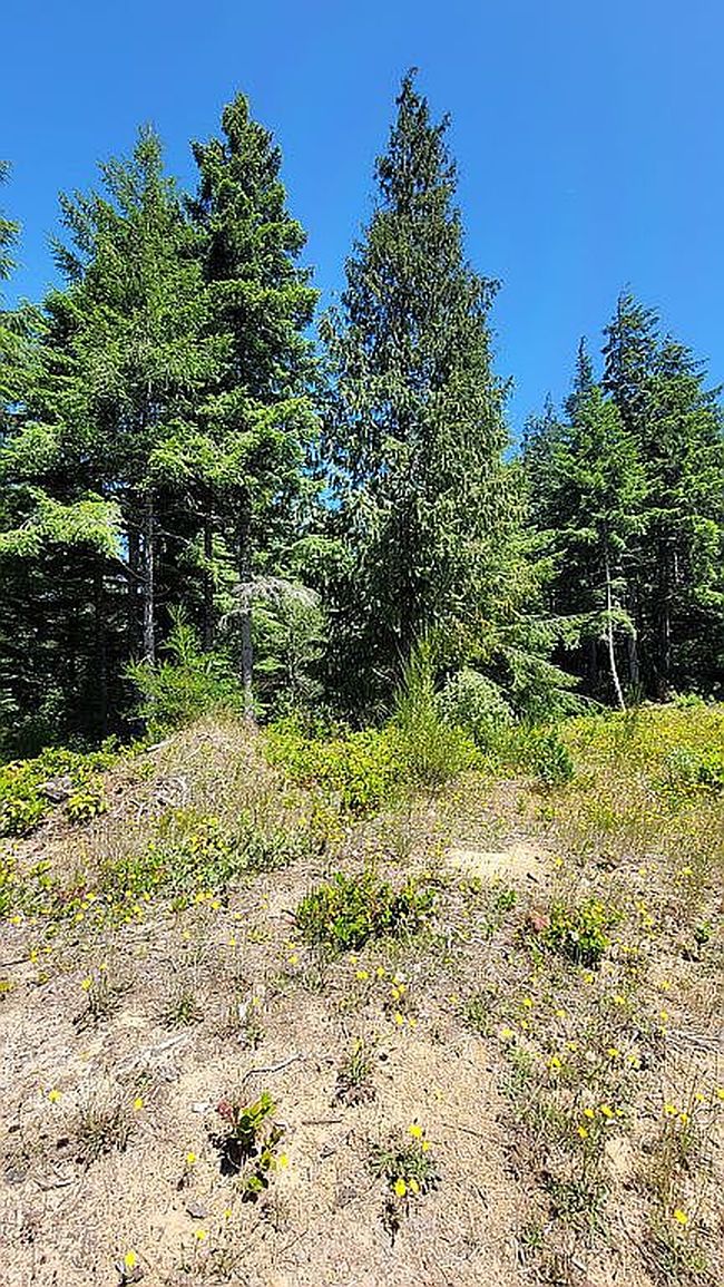 0 Sandpoint Dr, North Bend, OR