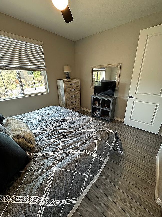 Photo of 14 Summer Agave Ave