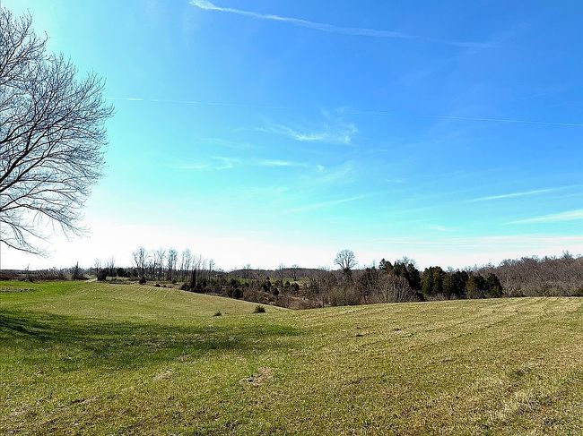 Image of 14389 Shiloh Rd